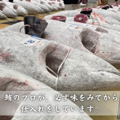 本物の味をお届け!厳選!天然三崎まぐろ 大トロ・中トロ・赤身セット