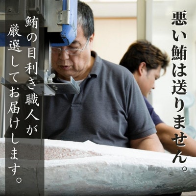 本物の味をお届け!厳選!天然三崎まぐろ 大トロ・中トロ・赤身セット