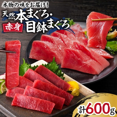 本物の味をお届け!天然まぐろ赤身づくしお刺身セット【本まぐろ赤身2柵・目鉢まぐろ赤身2柵】