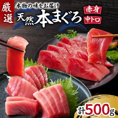 本物の味をお届け!厳選!天然本鮪中トロ・赤身セット