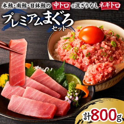 まぐろ専門店 湊魚問屋プレミアムまぐろセット