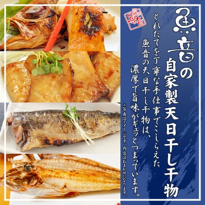 魚音おまかせ干物セット