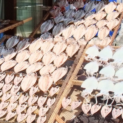 魚音おまかせ干物セット