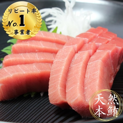 天然本鮪中とろ2柵