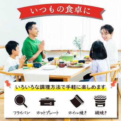 三崎の贅沢 特製手作り味噌漬&粕漬 3種食べ比べ9枚セット
