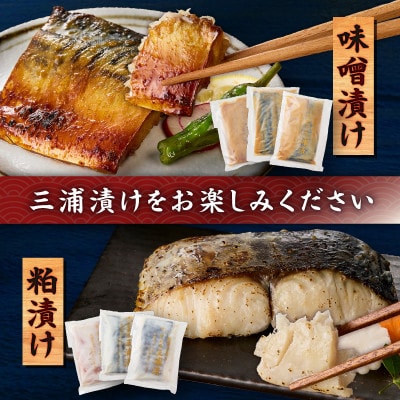 三崎の贅沢 特製手作り味噌漬&粕漬 3種食べ比べ9枚セット
