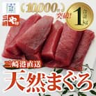 老舗三崎まぐろ問屋から直送!新鮮天然マグロ赤身1kg