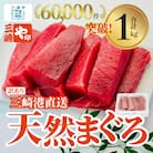 【訳あり】老舗三崎まぐろ問屋から直送!新鮮天然マグロ赤身1kg