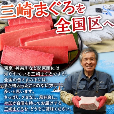 【三崎港直送!】お手軽・かんたん!天然マグロ漬け×本格ねぎとろセット