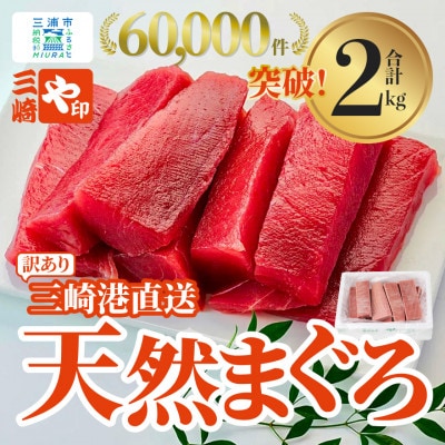 【訳あり】三崎港直送!　これを選べば間違いなし!業務用　三崎の天然マグロ2kg