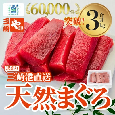 【訳あり】これを選べば間違いなし!とにかくたくさん食べたい人に!三崎の天然鮪3kg