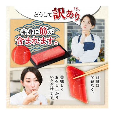 【訳あり】これを選べば間違いなし!とにかくたくさん食べたい人に!三崎の天然鮪3kg