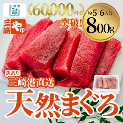 【訳あり】老舗三崎まぐろ問屋から直送!新鮮天然マグロ赤身サク 800g