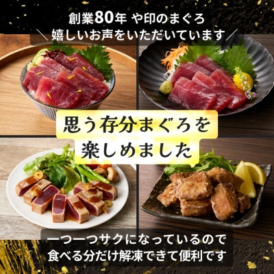 【訳あり】老舗三崎まぐろ問屋から直送!新鮮天然マグロ赤身サク 800g