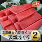 【毎月定期便】老舗三崎まぐろ問屋から直送!天然マグロ赤身2kgをお届け　定期便 全2回