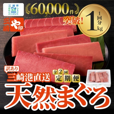 【毎月定期便】【訳あり】老舗三崎まぐろ問屋直送!天然マグロ赤身1kgをお届け全2回