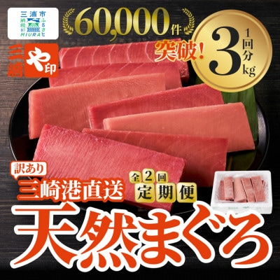 【毎月定期便】【訳あり】老舗三崎まぐろ問屋から直送!天然マグロ赤身3kgをお届け全2回