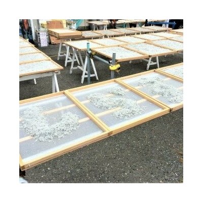 しらす漁師直売!「湘南釜揚げしらすセット」A