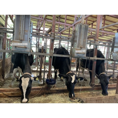 みうらみるく　飲みきりサイズ 200ml×5本