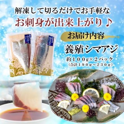 【高鮮度】鮮魚活〆シマアジお刺身セット