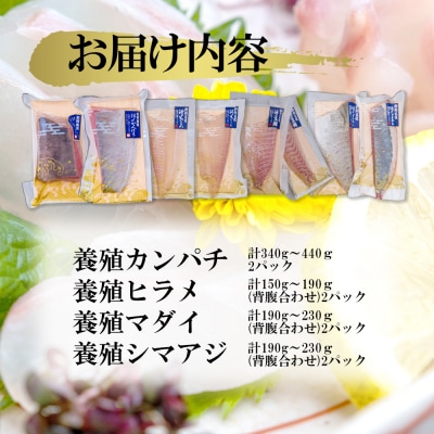 【高鮮度】鮮魚活〆特盛お刺身セット