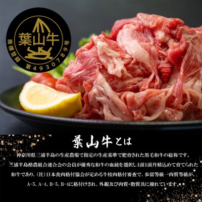 【神奈川県産黒毛和牛】三浦市の佐藤牧場が育てた葉山牛　切り落とし4P