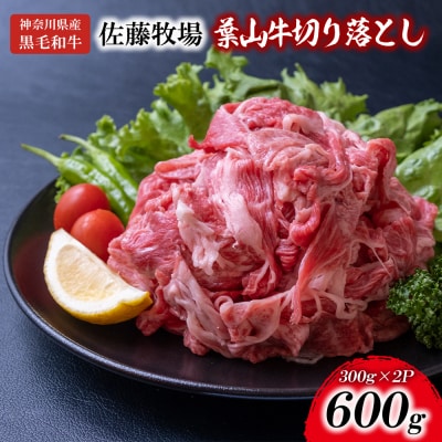 【神奈川県産黒毛和牛】三浦市の佐藤牧場が育てた葉山牛　切り落とし2P