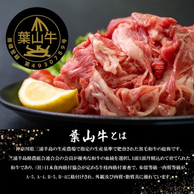 【神奈川県産黒毛和牛】三浦市の佐藤牧場が育てた葉山牛　切り落とし2P
