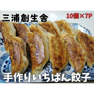 三浦創生舎のいちばん餃子(ハートフルさと納税)