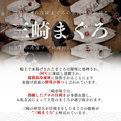 三昧プレミアム6種1kg (本まぐろ 中トロ/赤身/すきみ、漬けまぐろ、ハラモ幽庵漬/照焼醤油漬)
