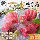 【至極の味わい】天然本まぐろ 1kg(大トロ200g,中トロ400g, 赤身400g)