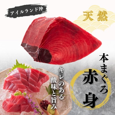 【至極の味わい】天然本まぐろ 1kg(大トロ200g,中トロ400g, 赤身400g)