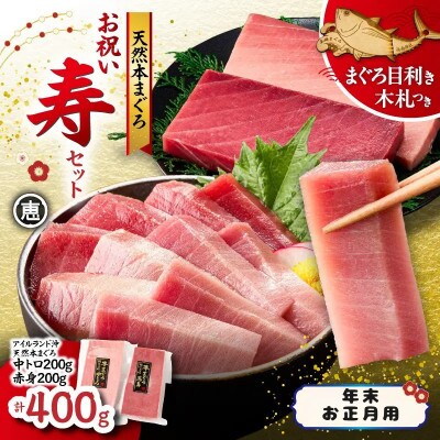 【年末・お正月用】天然本まぐろ お祝い寿セット 中トロ赤身 各200g 三崎恵水産
