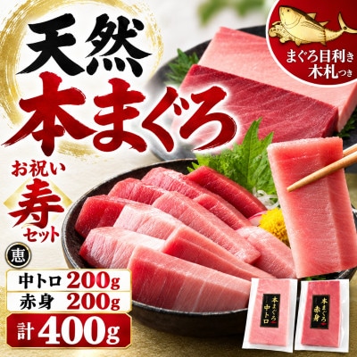 【年末・お正月用】天然本まぐろ お祝い寿セット 中トロ赤身 各200g 三崎恵水産