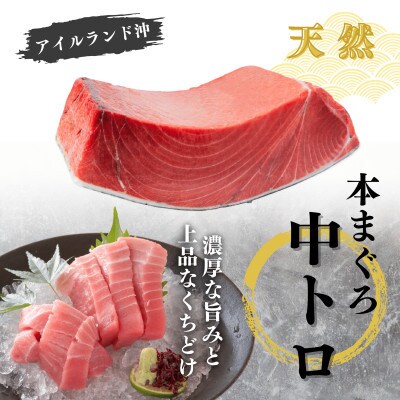 【年末・お正月用】天然本まぐろ お祝い寿セット 中トロ赤身 各200g 三崎恵水産
