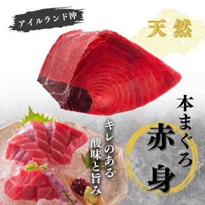 【年末・お正月用】天然本まぐろ お祝い寿セット 中トロ赤身 各200g 三崎恵水産