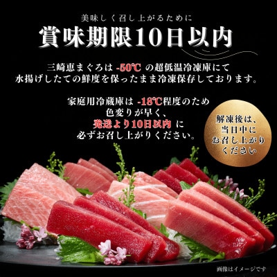 【年末・お正月】天然目鉢まぐろ お祝い満ぷくセット 中トロ赤身1kgブロック 三崎恵水産