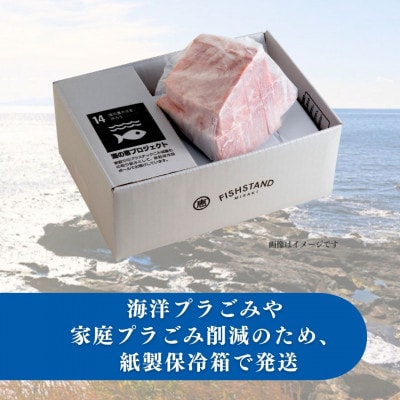 【年末・お正月】天然目鉢まぐろ お祝い満ぷくセット 中トロ赤身1kgブロック 三崎恵水産