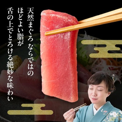 【年末・お正月】天然目鉢まぐろ お祝い満ぷくセット 中トロ赤身1kgブロック 三崎恵水産