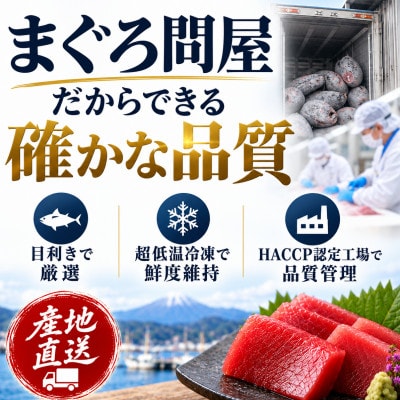 【訳あり】天然三崎まぐろ 赤身 1kg 家計応援 10人分!不揃い　海鮮 刺身 漬け
