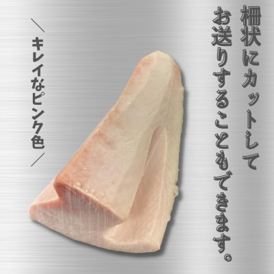 特選ビンチョウマグロ【トロビンチョウ】