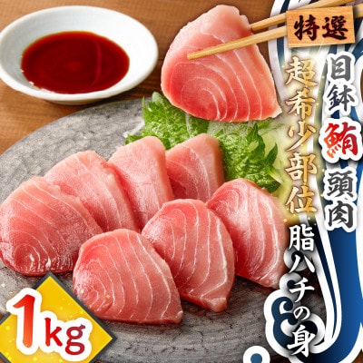 目鉢鮪頭肉　超希少部位「脂ハチの身」