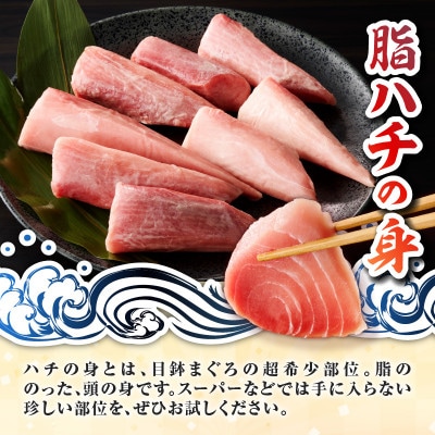目鉢鮪頭肉　超希少部位「脂ハチの身」