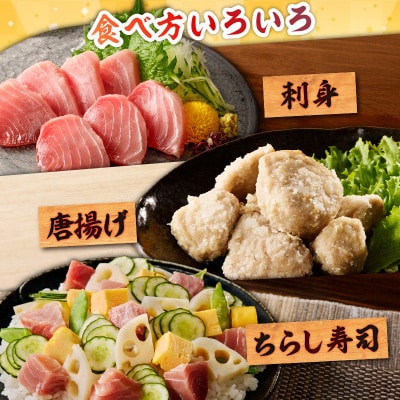 目鉢鮪頭肉　超希少部位「脂ハチの身」