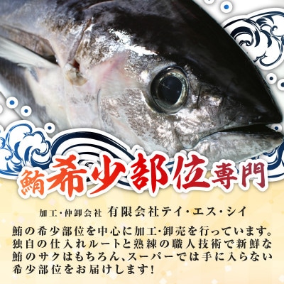 天然本鮪　上脂トロサク　(1柵)
