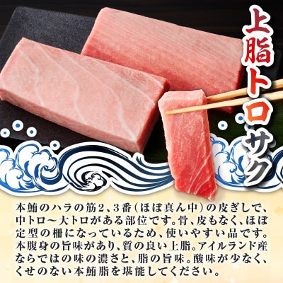 天然本鮪　上脂トロサク　(2柵)