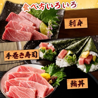 天然本鮪　上脂トロサク　(2柵)