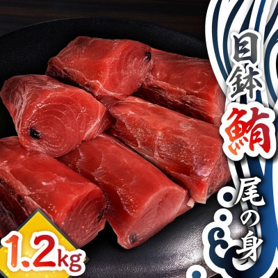 目鉢鮪尾の身(皮・骨なし)