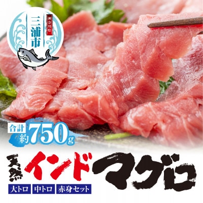 三崎マグロ　鈴木水産　天然インドマグロ(大トロ・中トロ・赤身)セット
