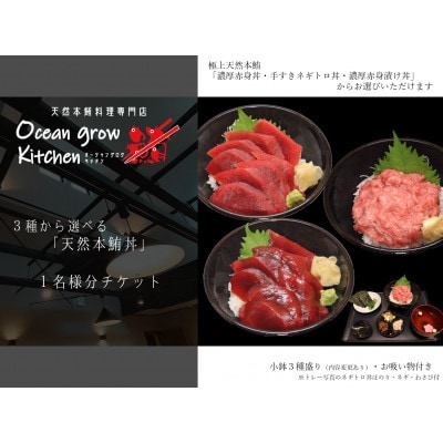 oceangrow kitchen お食事券(3種から選べる天然本鮪丼)1名様分 B10-013